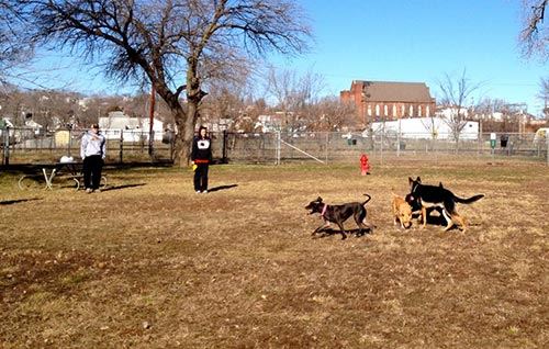 Dempsey Dog Park - No Leash - Hannibal, MO