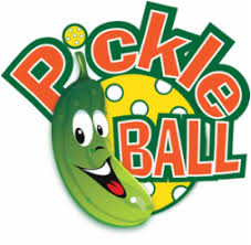 Pickle Ball - Hannibal Parks