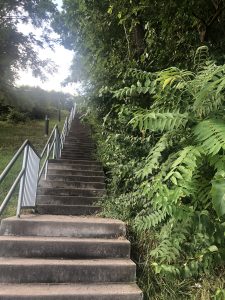 Light House Stairs